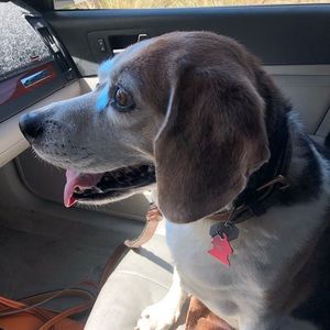 Meet your Posher, Sharon